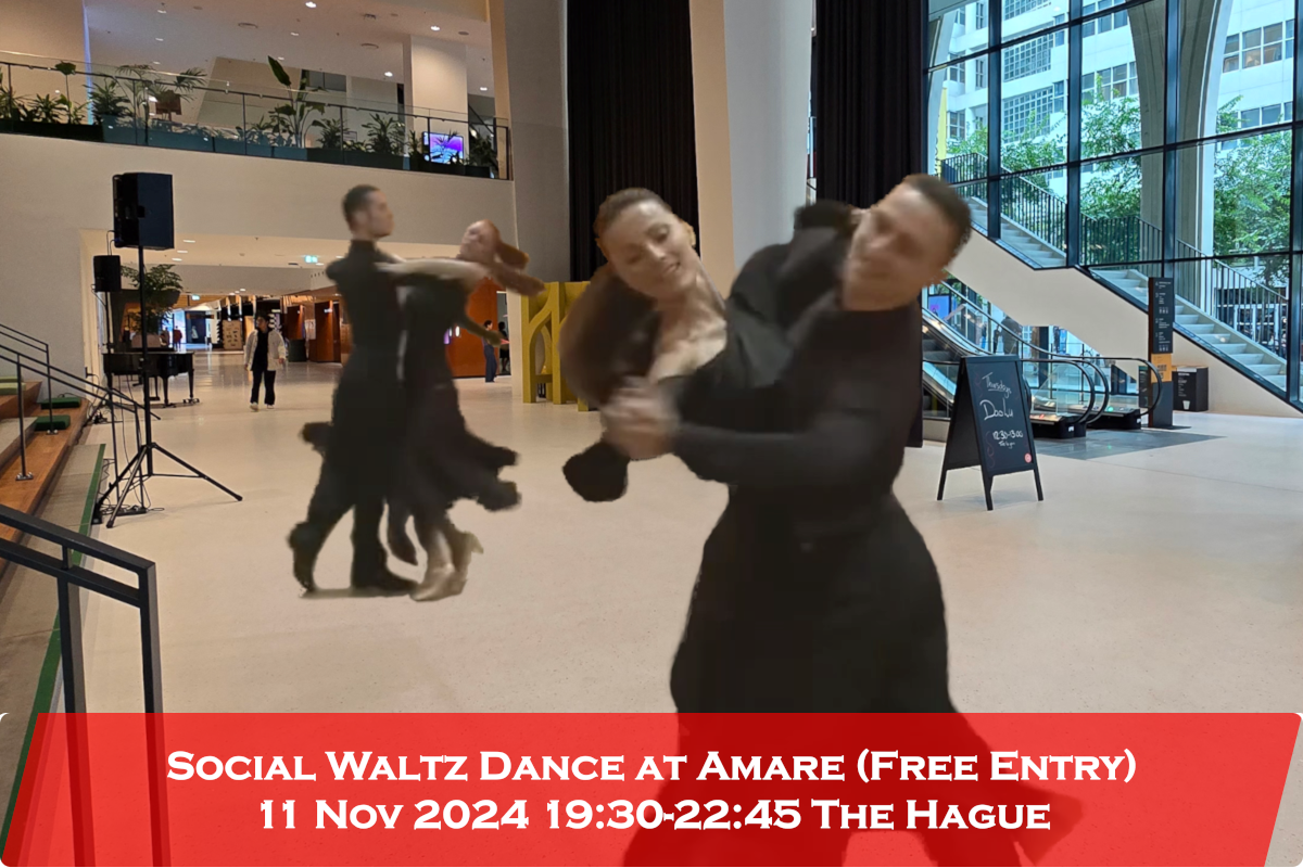 Social Waltz Dance in The Hague 11 Nov 2024